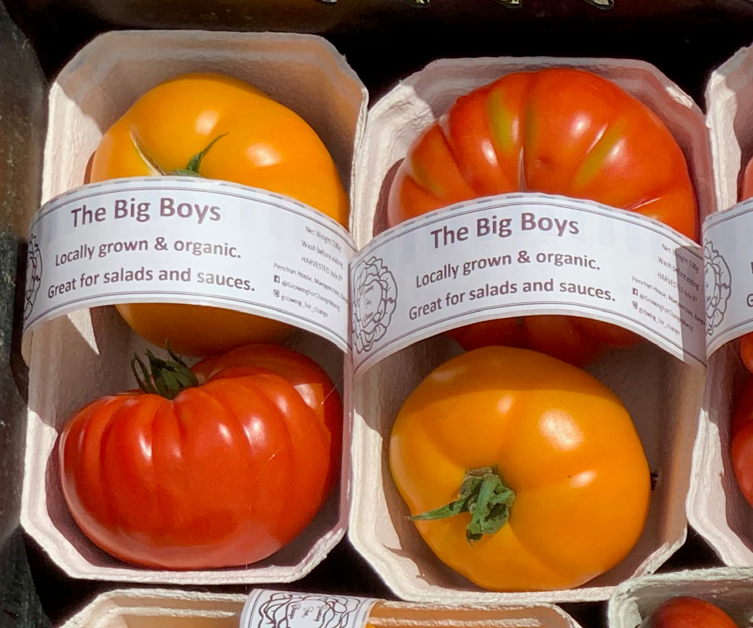 Tomatoes Big Boys