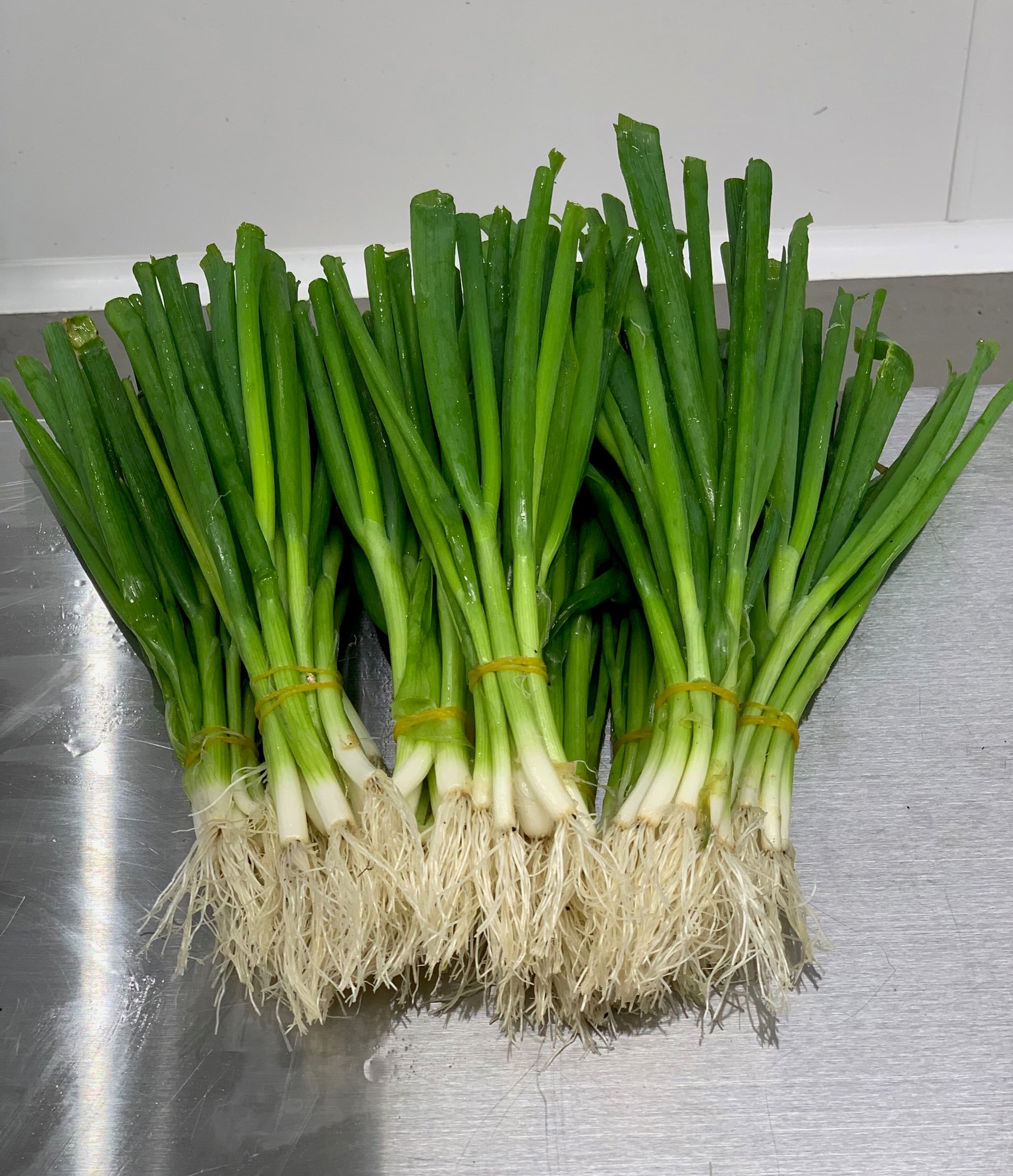 Spring Onions