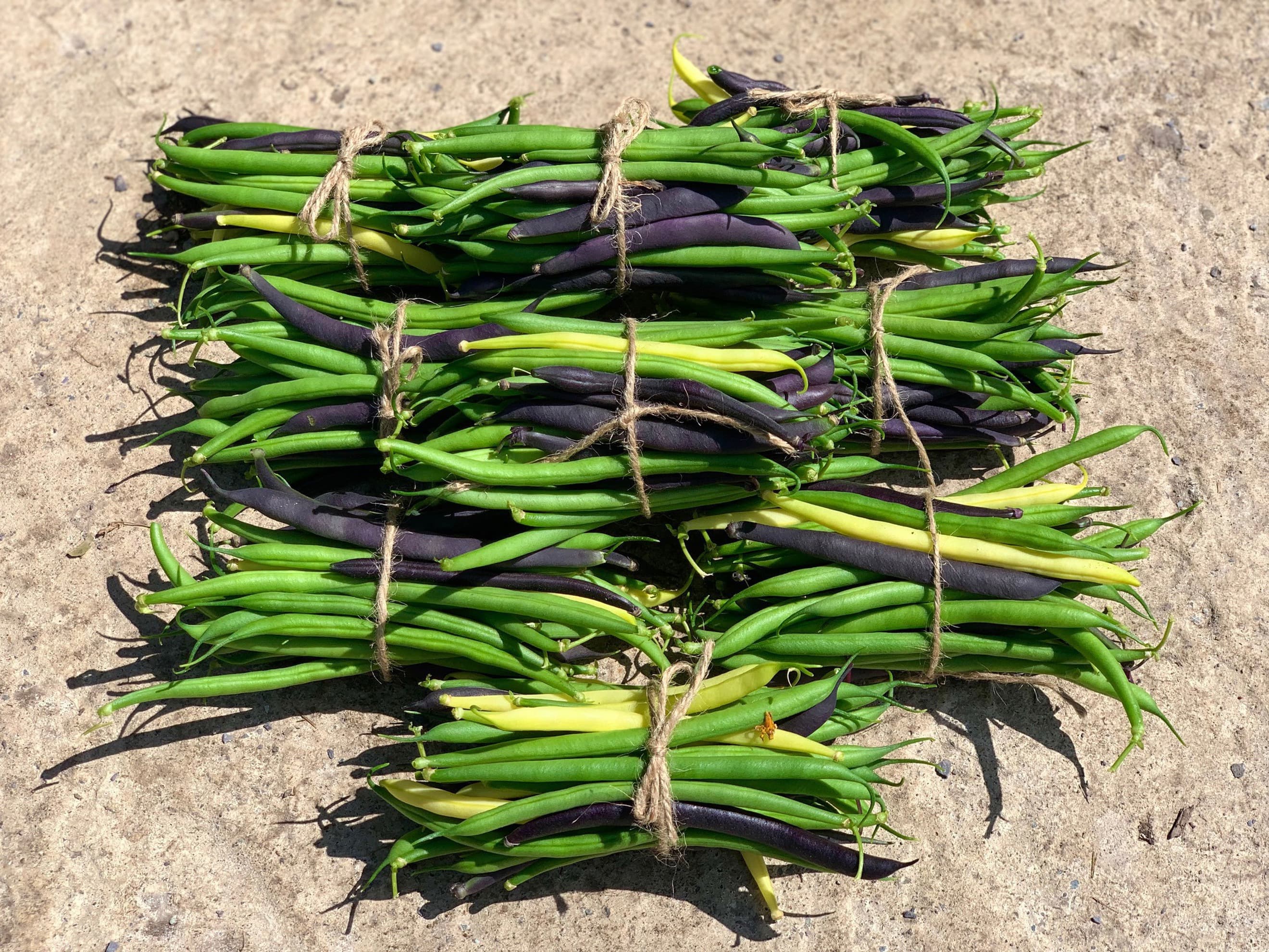 French beans