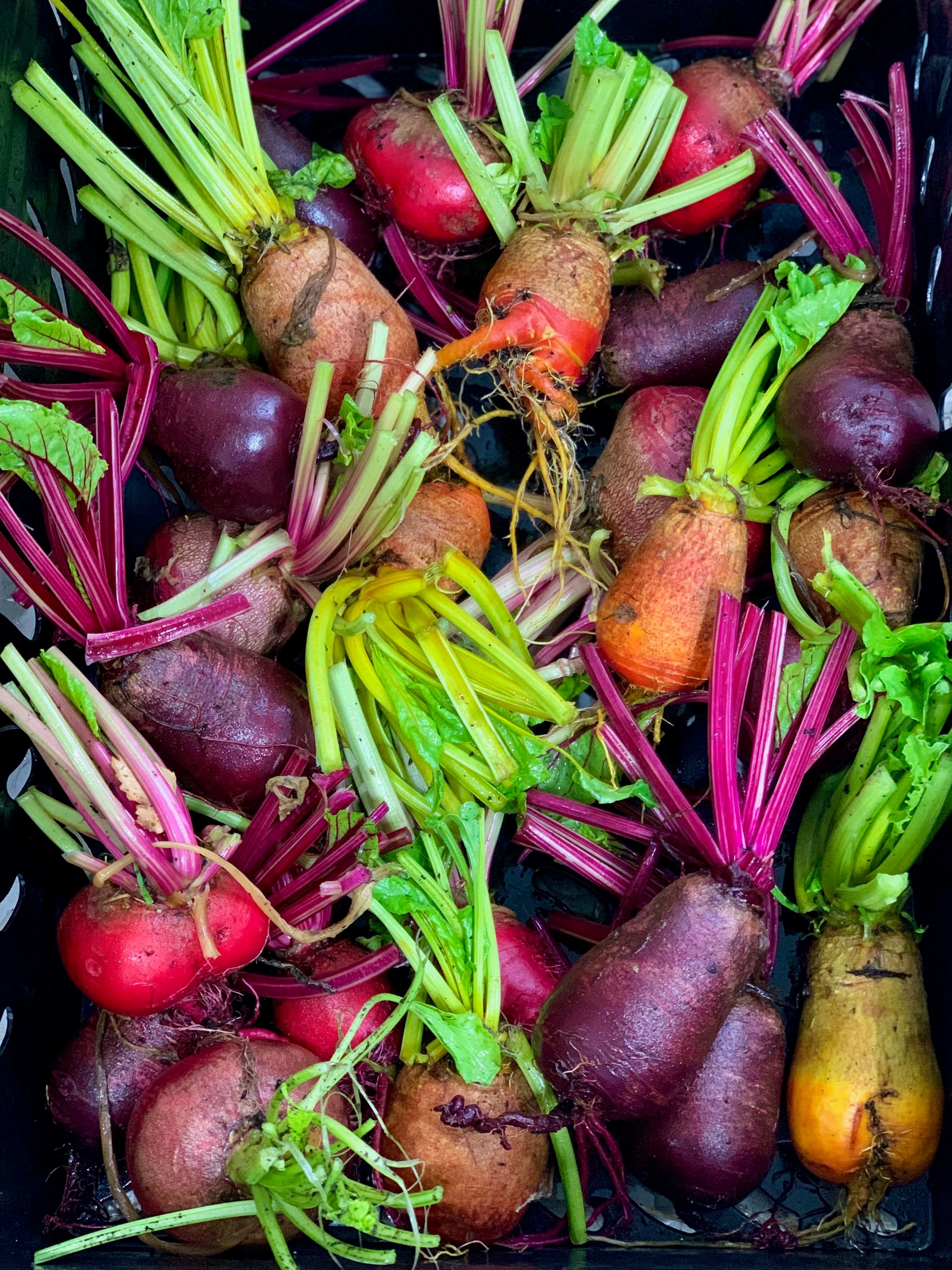 Beetroot mixed bunch