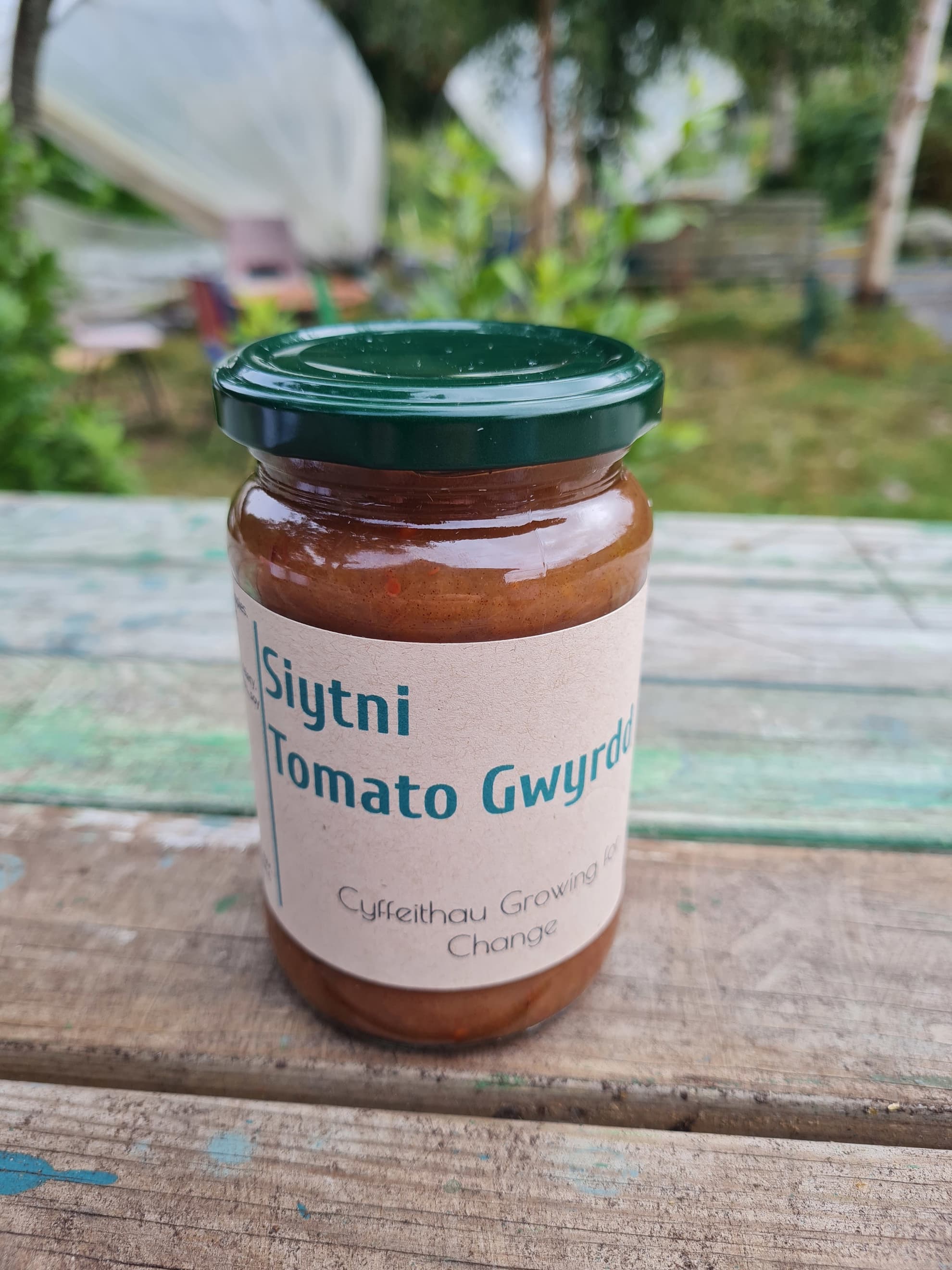 Siytni Tomatos Gwyrdd